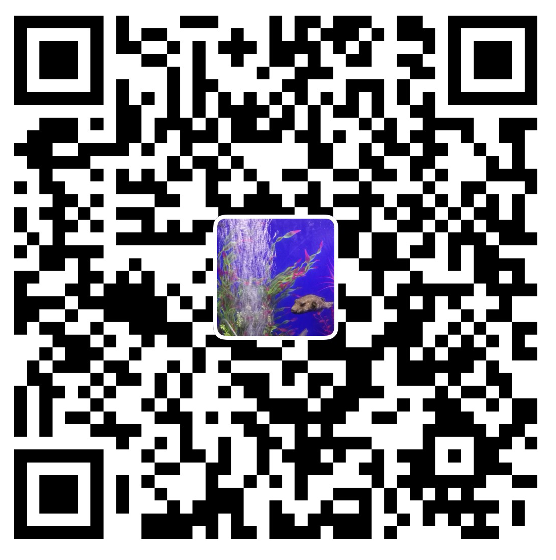 支付宝打赏二维码